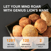 100% Lion Mane Mushroom Extract Capsule
